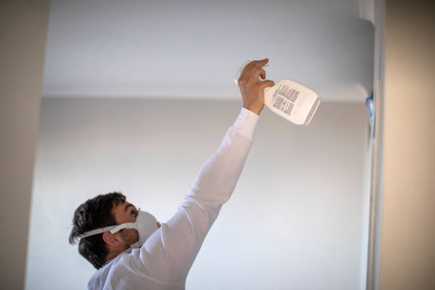 Best Fast Mold Removal  in New Bern, NC