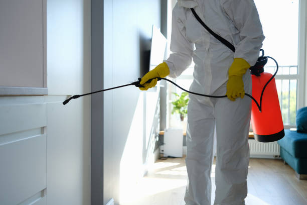 Best Professional Mold Removal  in New Bern, NC