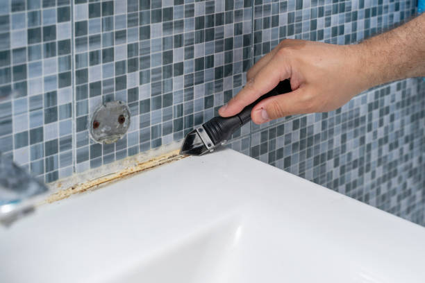 Best Mold Testing  in New Bern, NC